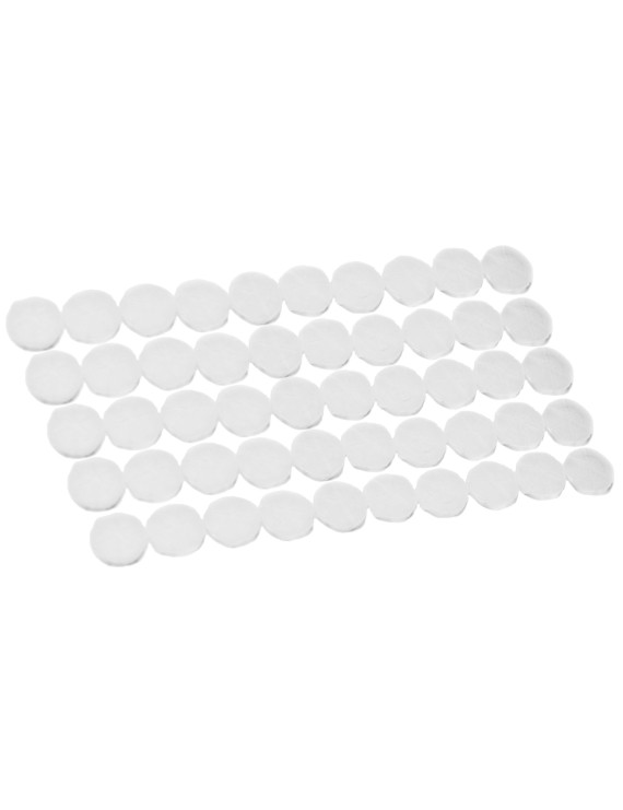 CAM Shell Plastic Cover Transparent